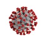 Coronavirus (COVID19) RecWell Updates